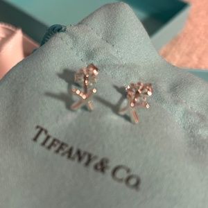 New Tiffany & Co Paloma x earrings